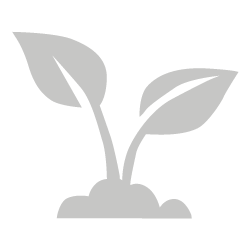 environmentally environment